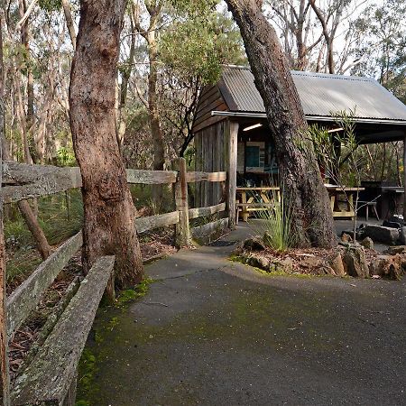בלאקהית' Jemby Rinjah Ecolodge מראה חיצוני תמונה